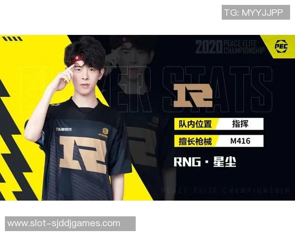 esports数据和平精英焦点RNG战队比赛经验分析与策略探讨